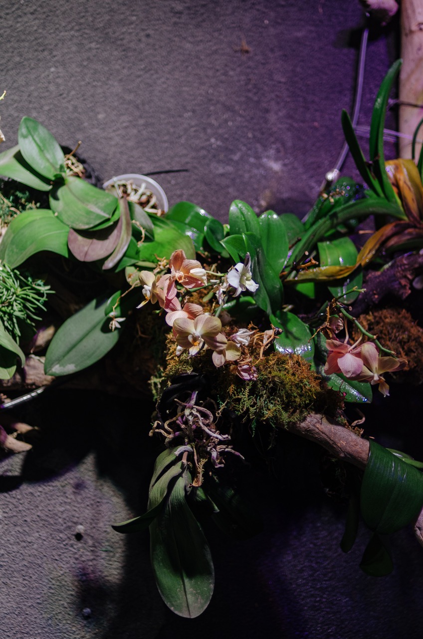 Фото 15 из альбома Dubai 2022