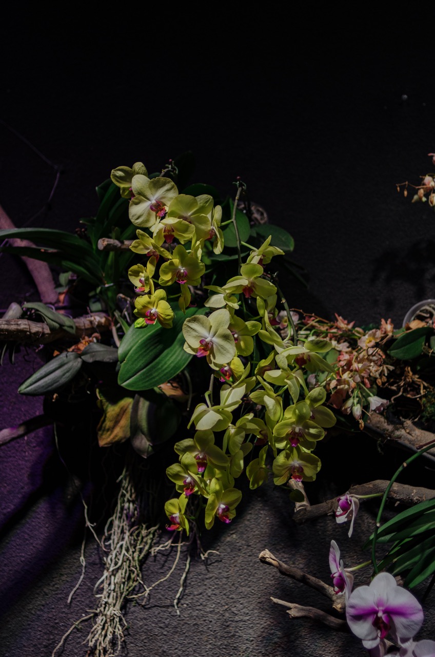 Фото 16 из альбома Dubai 2022