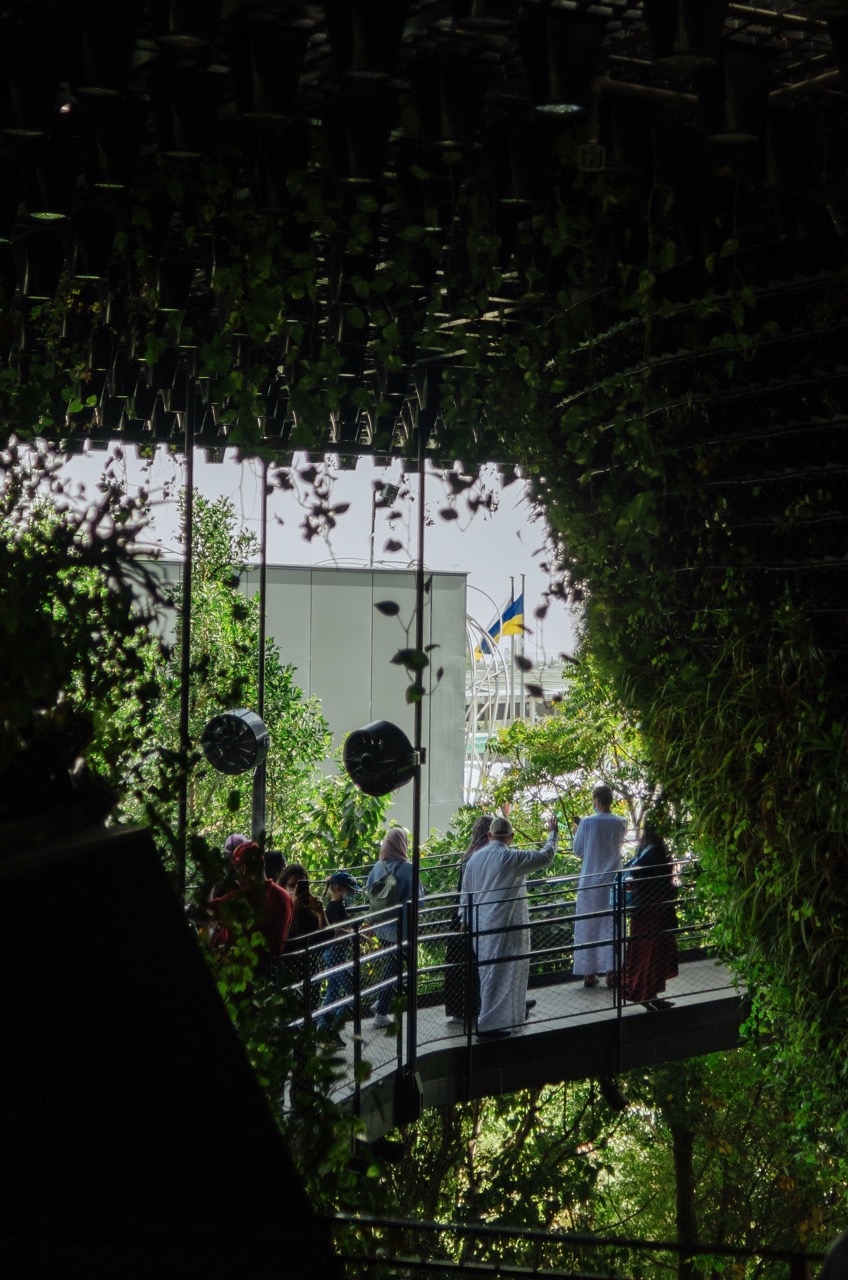 Фото 18 из альбома Dubai 2022