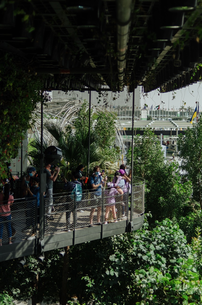 Фото 19 из альбома Dubai 2022