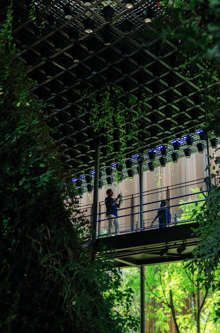 Фото 20 из альбома Dubai 2022