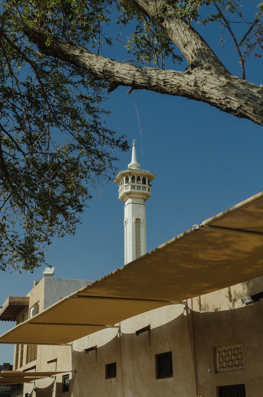 Фото 82 из альбома Dubai 2022