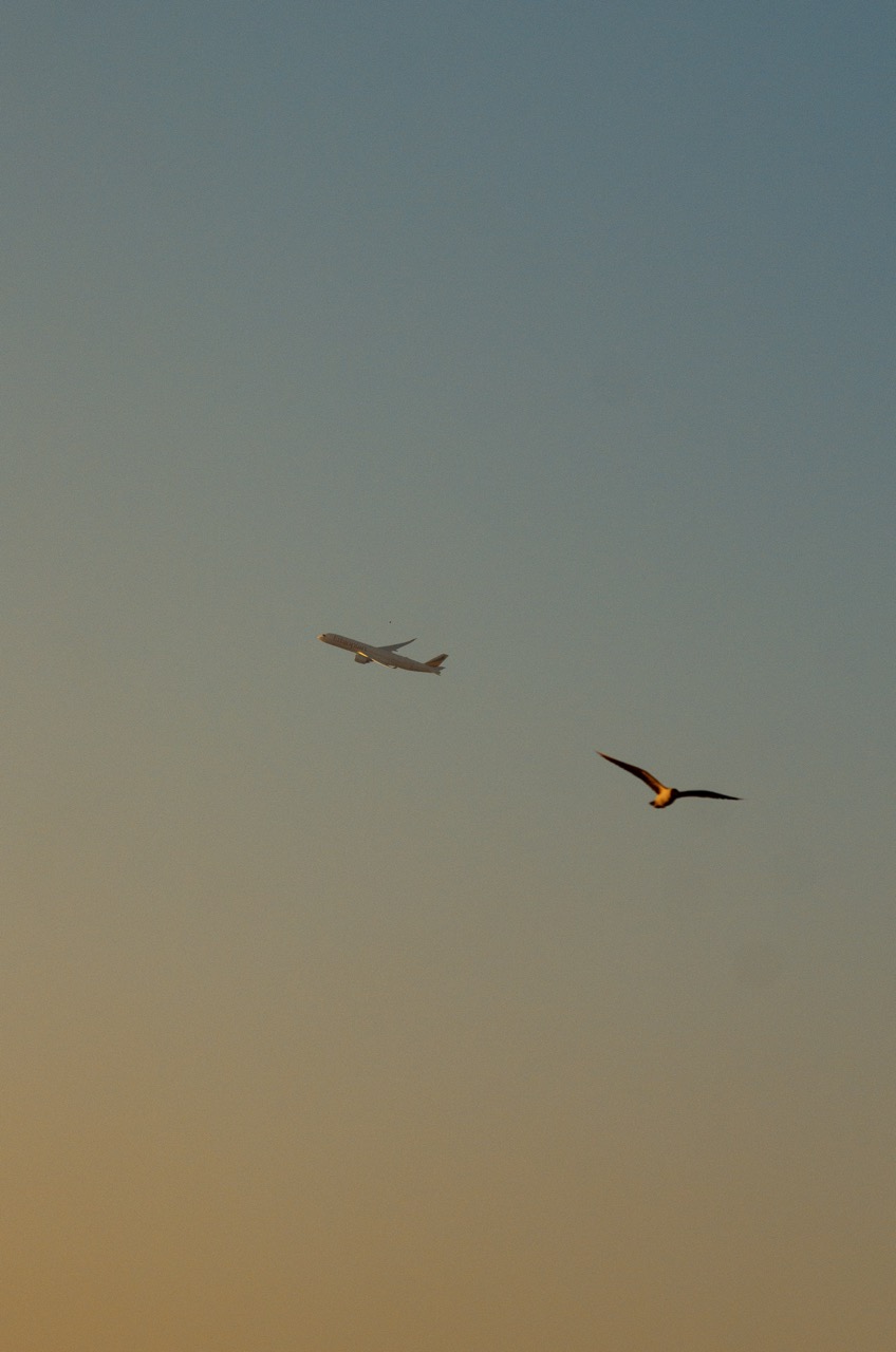 Фото 122 из альбома Dubai 2022