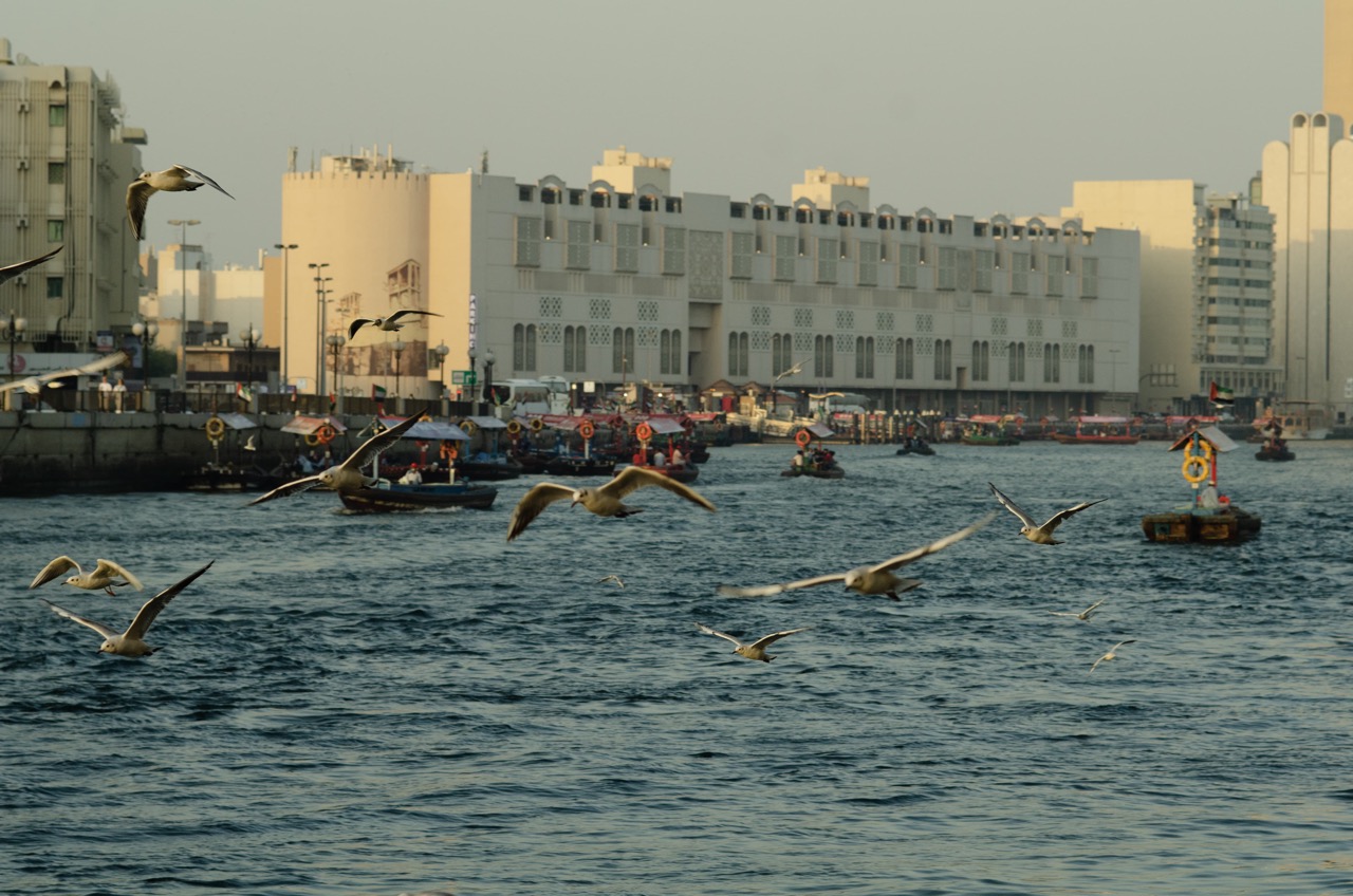 Фото 125 из альбома Dubai 2022