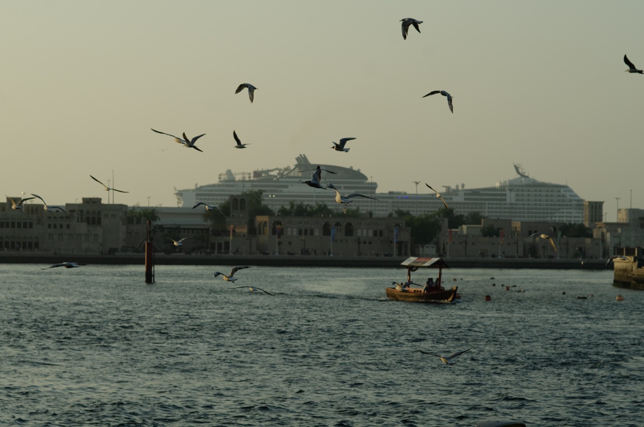 Фото 126 из альбома Dubai 2022