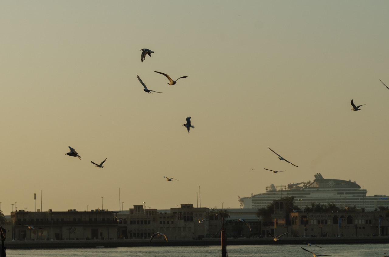 Фото 127 из альбома Dubai 2022