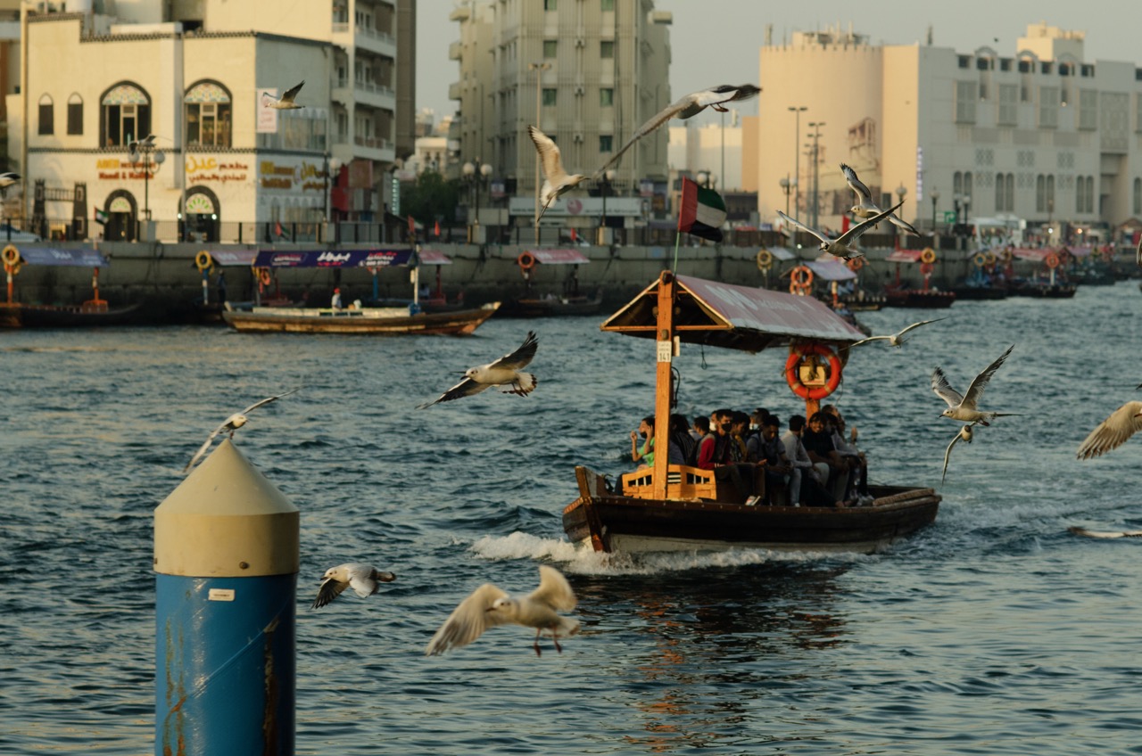 Фото 132 из альбома Dubai 2022