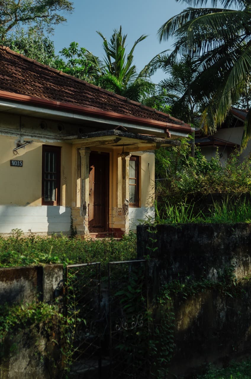 Фото 6 из альбома Sri Lanka 2022