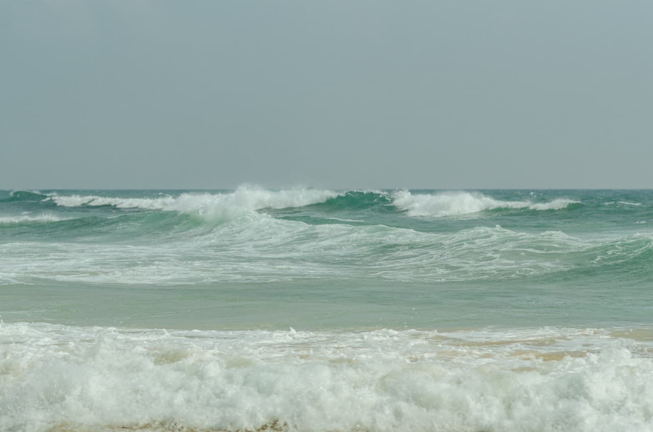 Фото 36 из альбома Sri Lanka 2022