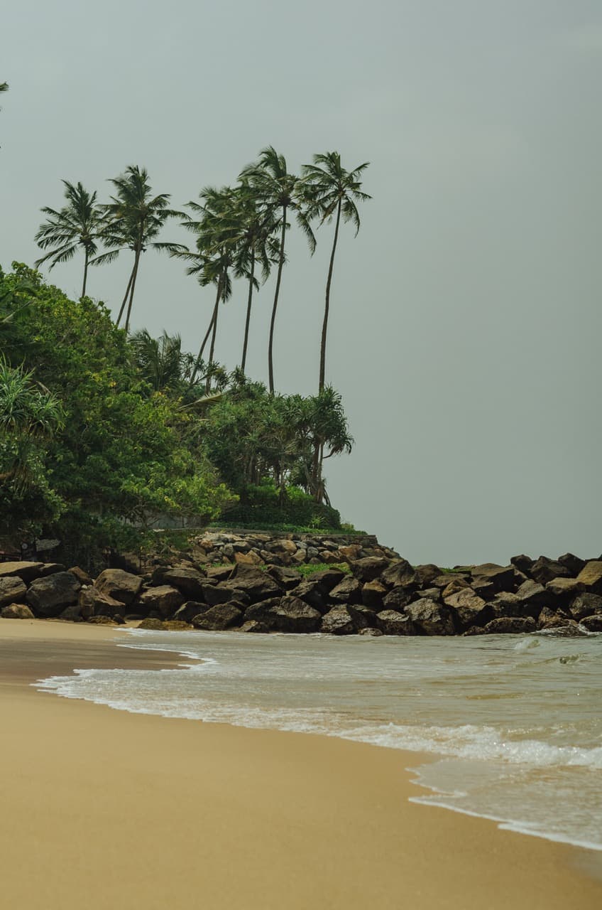 Фото 59 из альбома Sri Lanka 2022