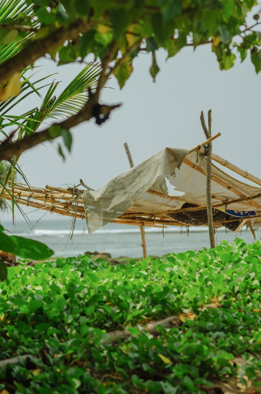 Фото 75 из альбома Sri Lanka 2022