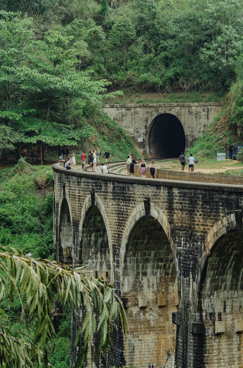 Фото 91 из альбома Sri Lanka 2022