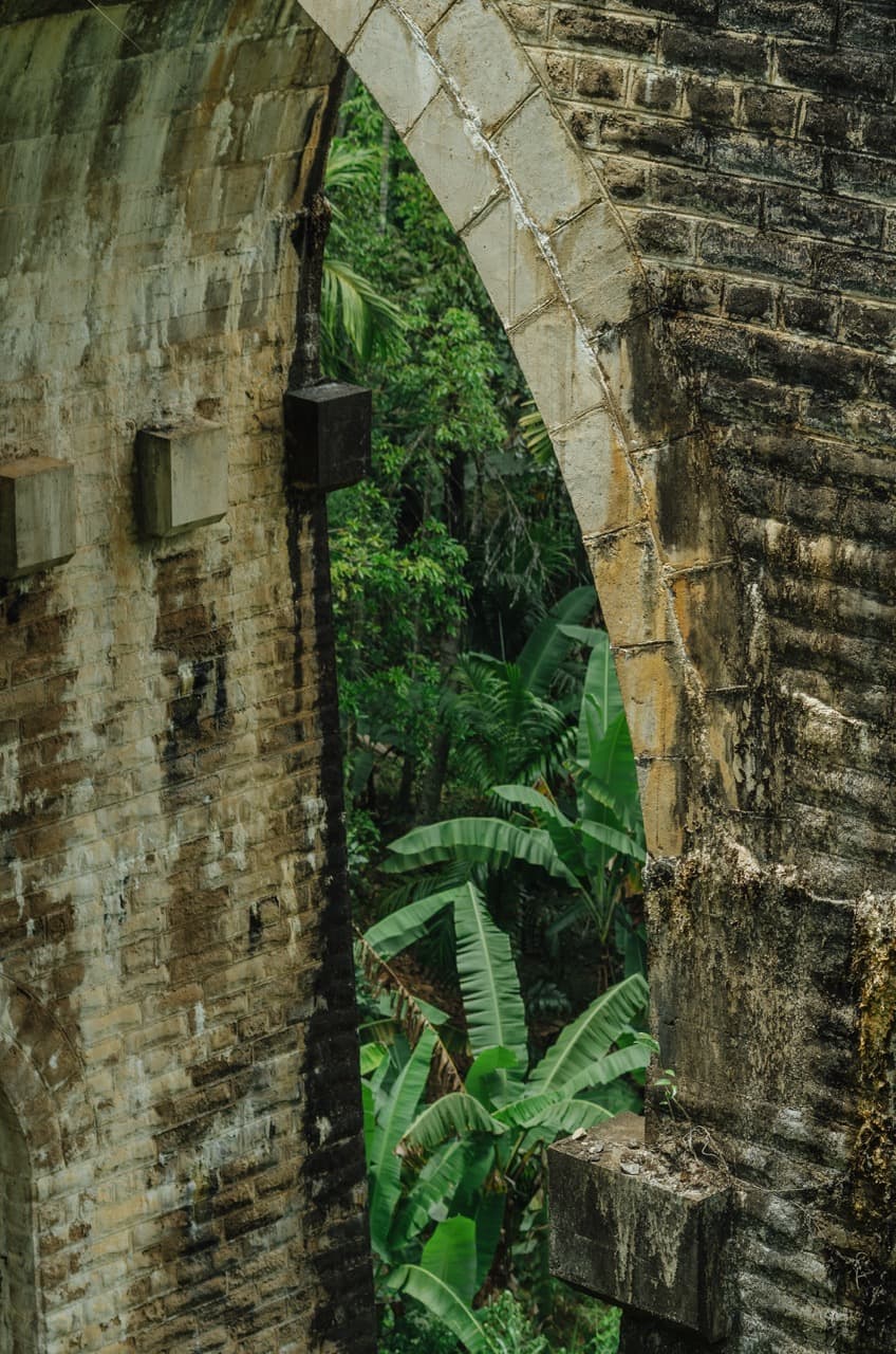 Фото 92 из альбома Sri Lanka 2022