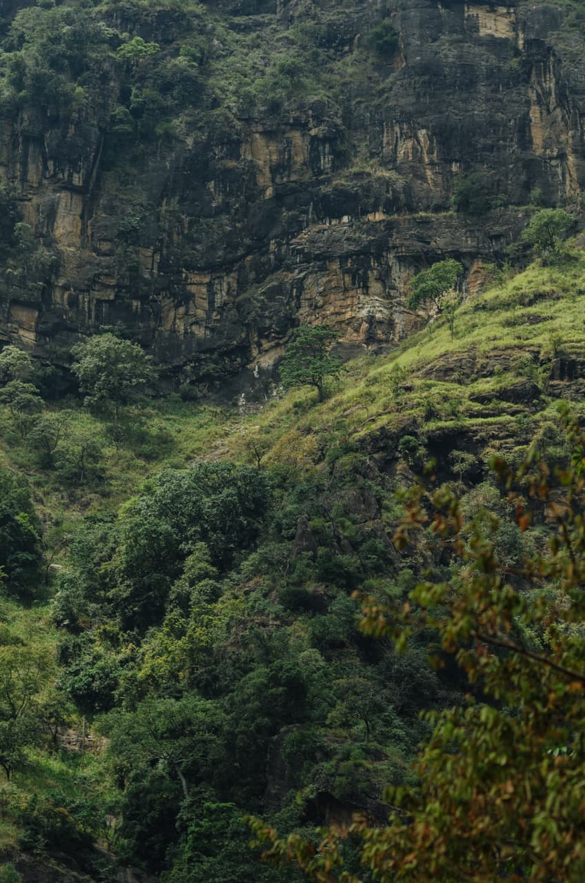 Фото 118 из альбома Sri Lanka 2022