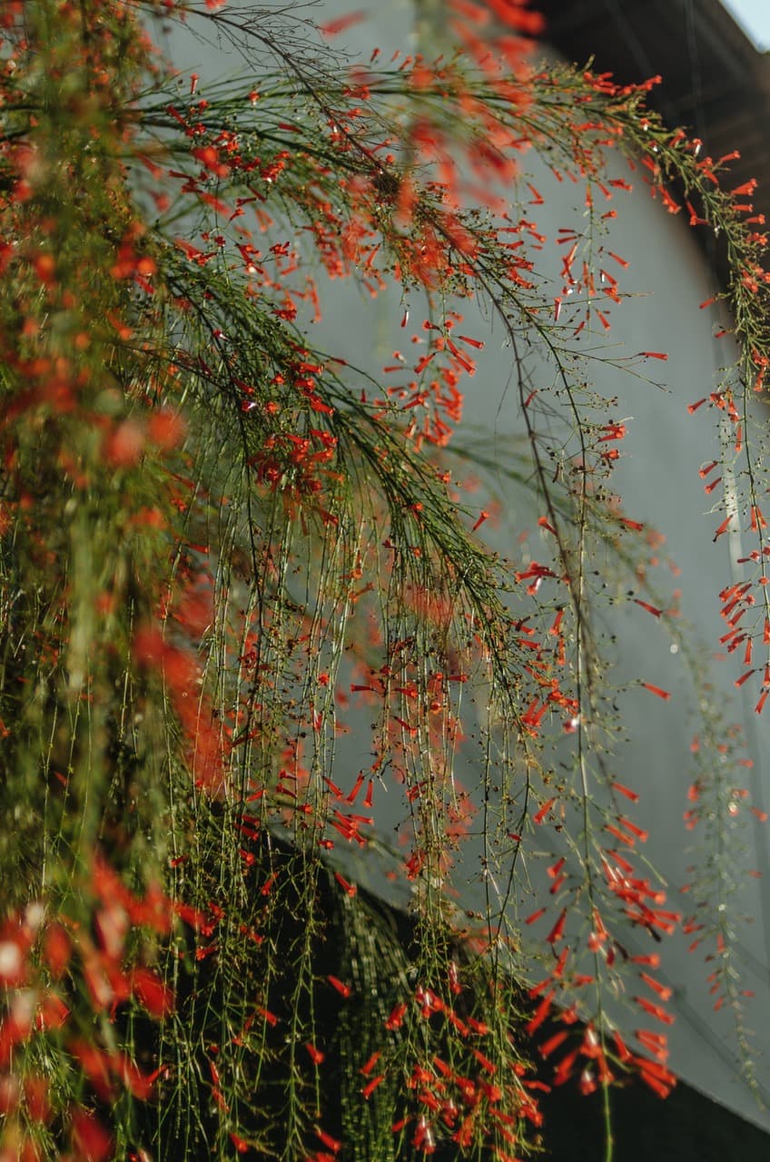 Фото 123 из альбома Sri Lanka 2022