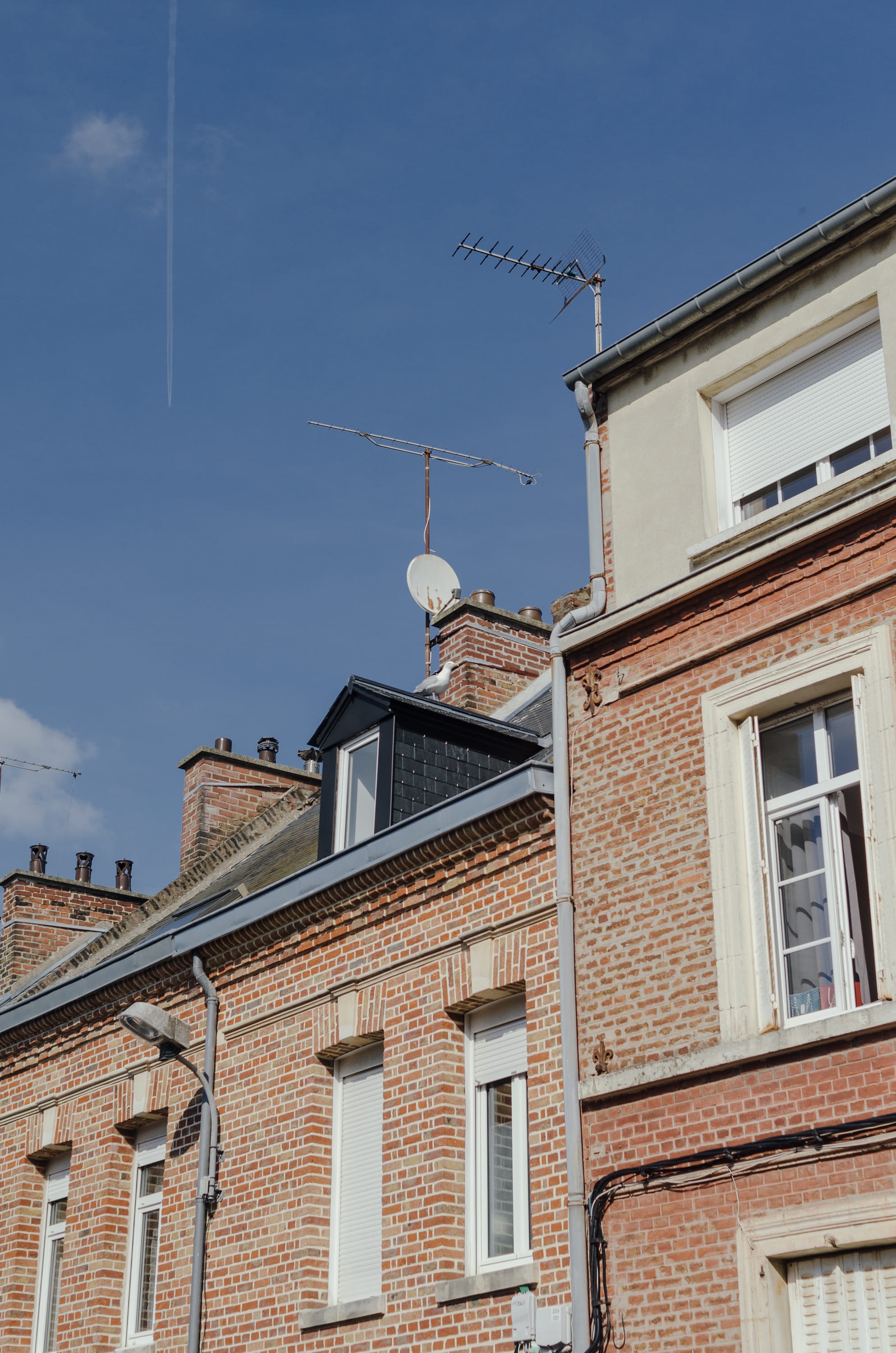 Фото 12 из альбома Amiens 2023