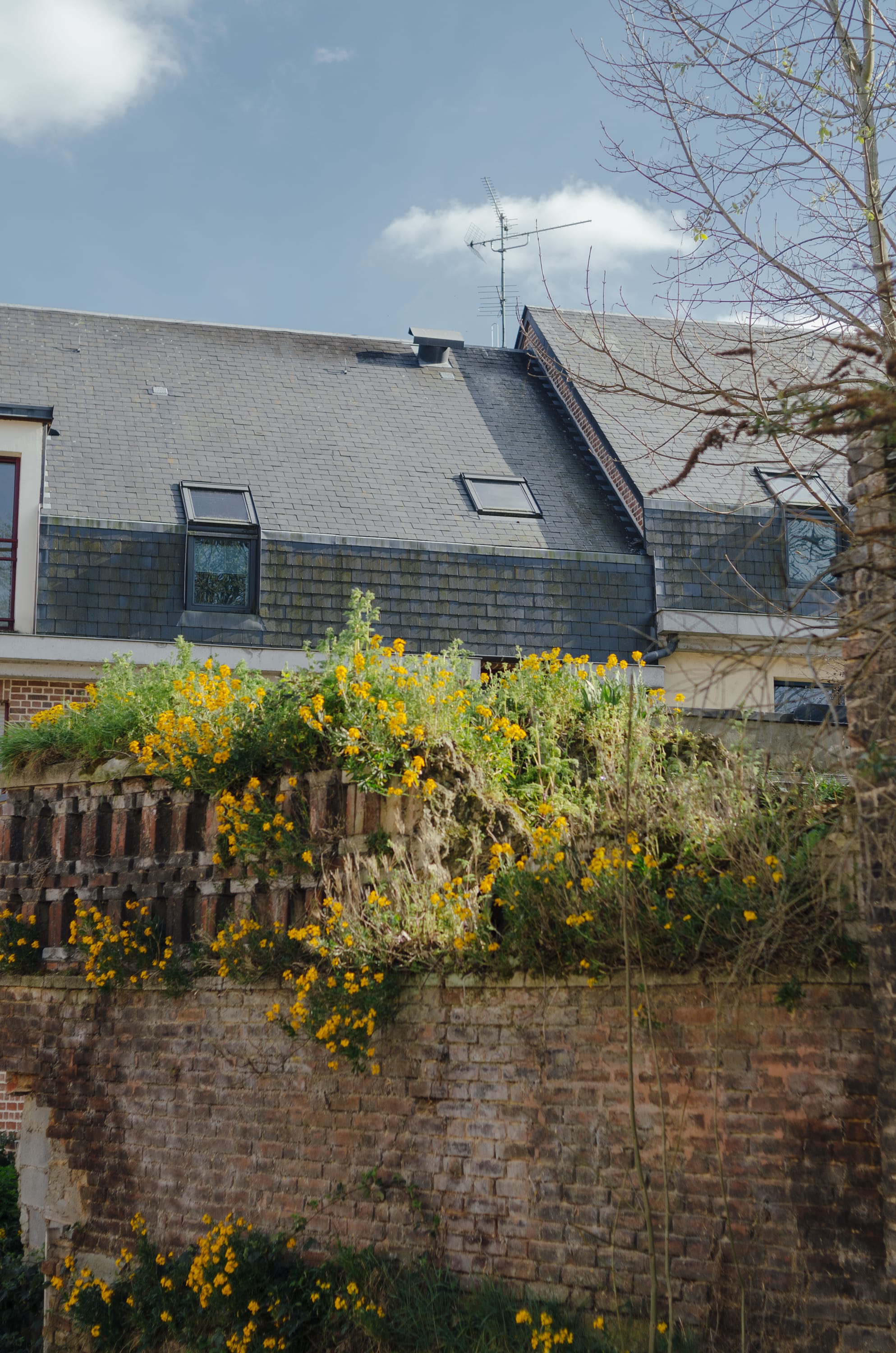 Фото 26 из альбома Amiens 2023