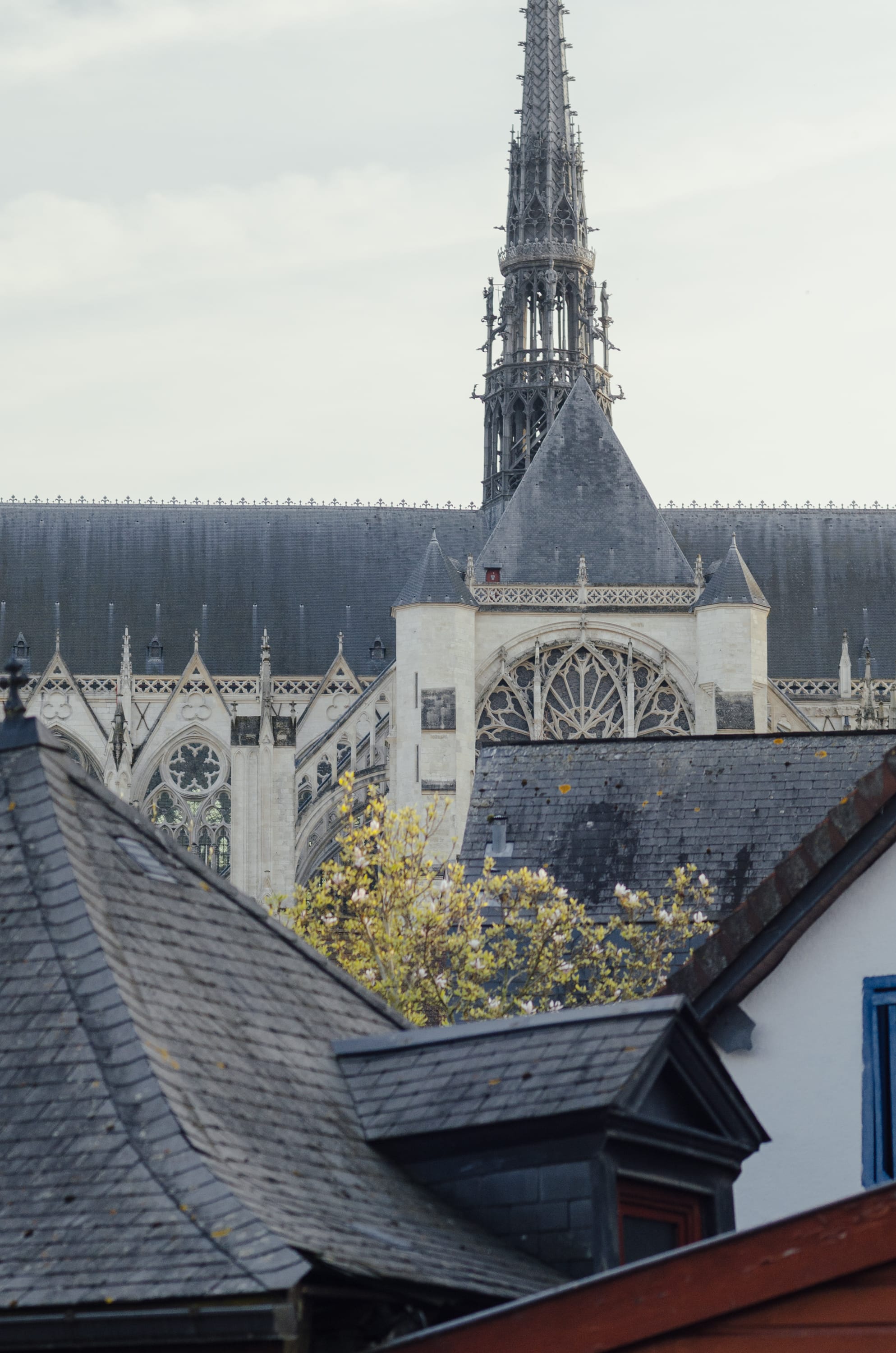 Фото 43 из альбома Amiens 2023