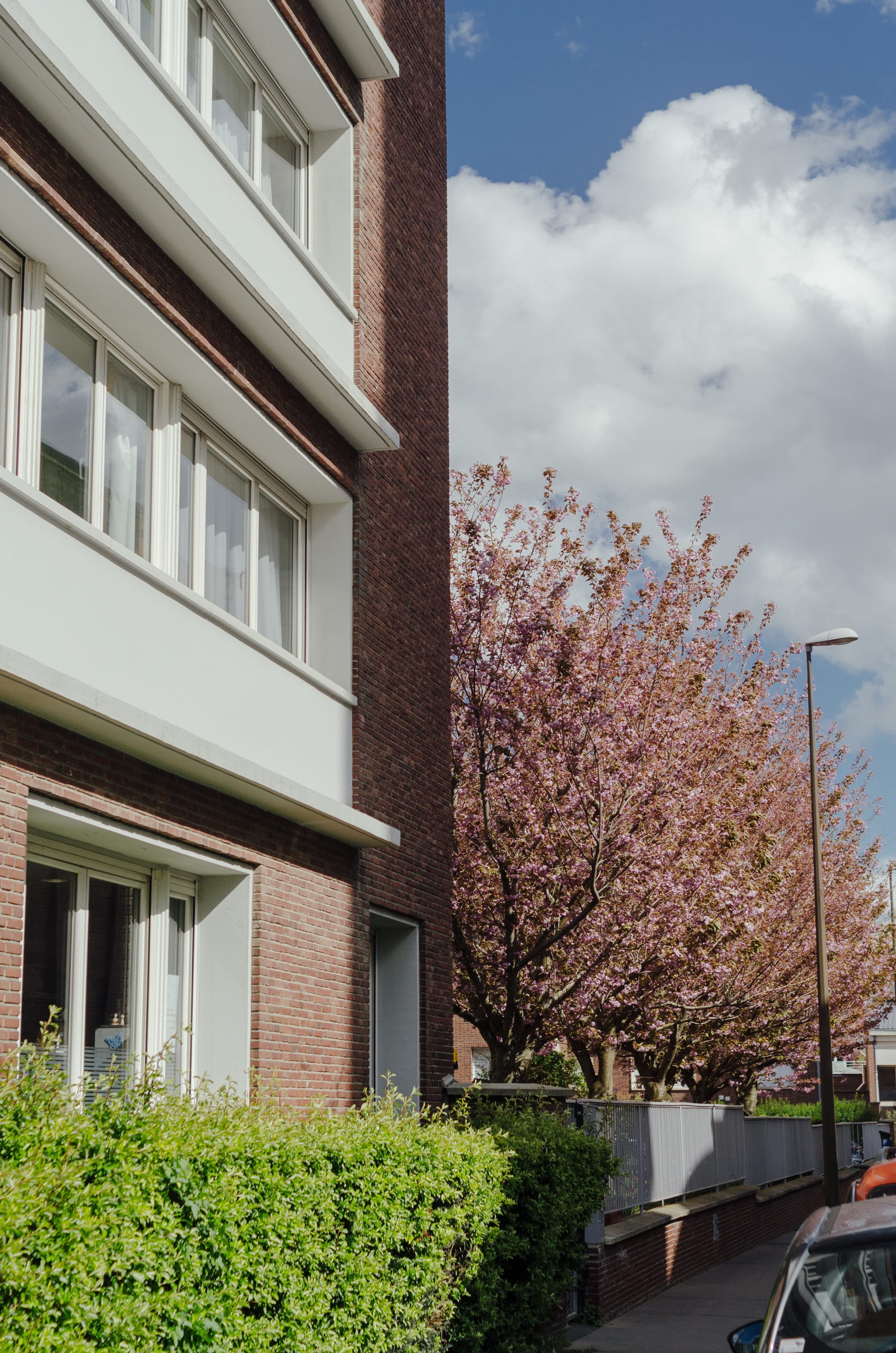 Фото 61 из альбома Amiens 2023