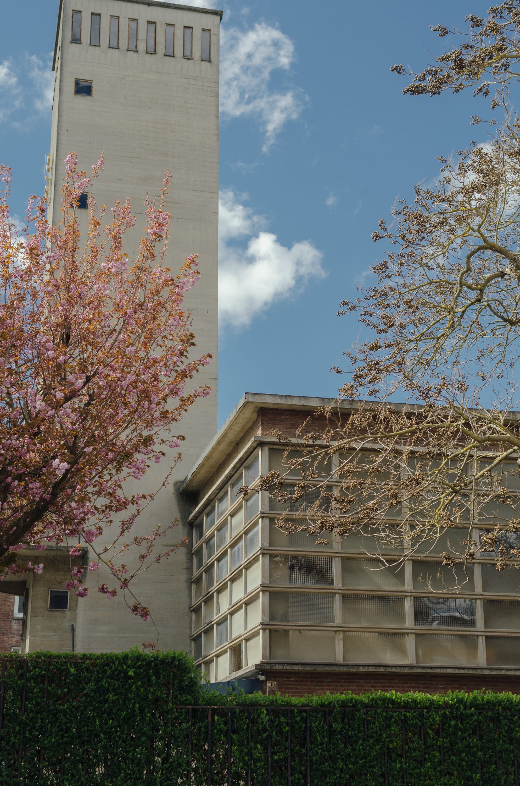 Фото 62 из альбома Amiens 2023