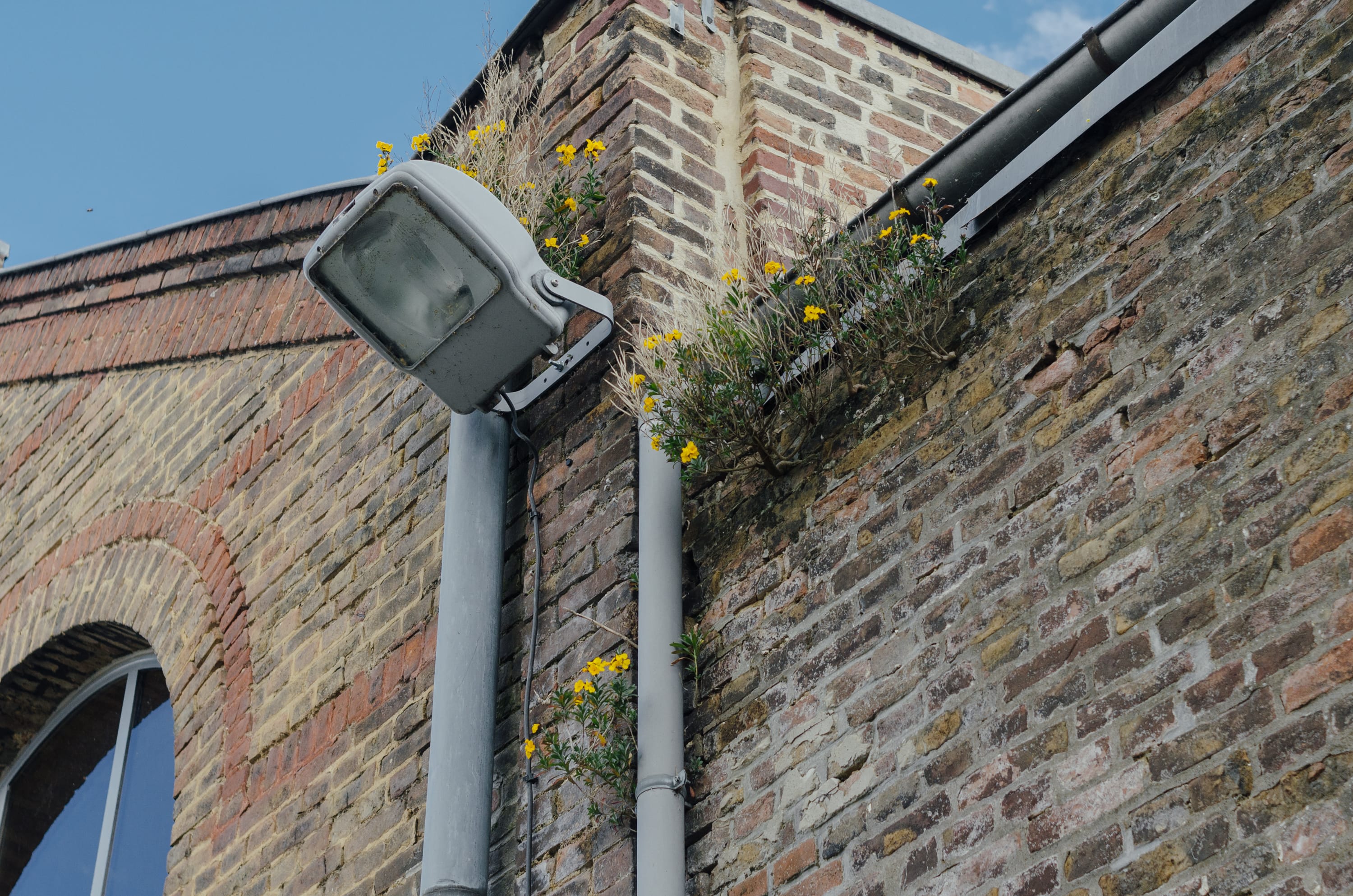 Фото 67 из альбома Amiens 2023