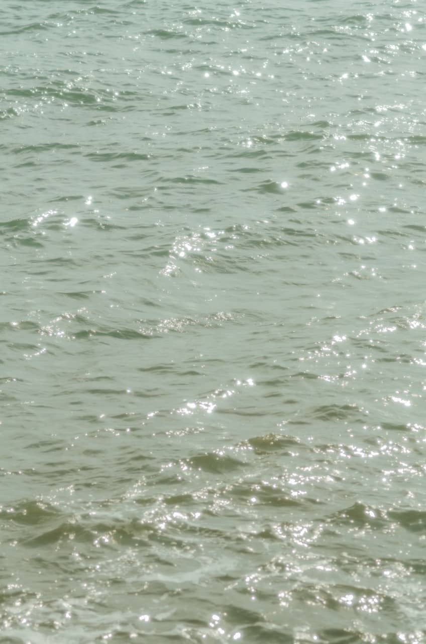 Фото 2 из альбома Erdemli 2023