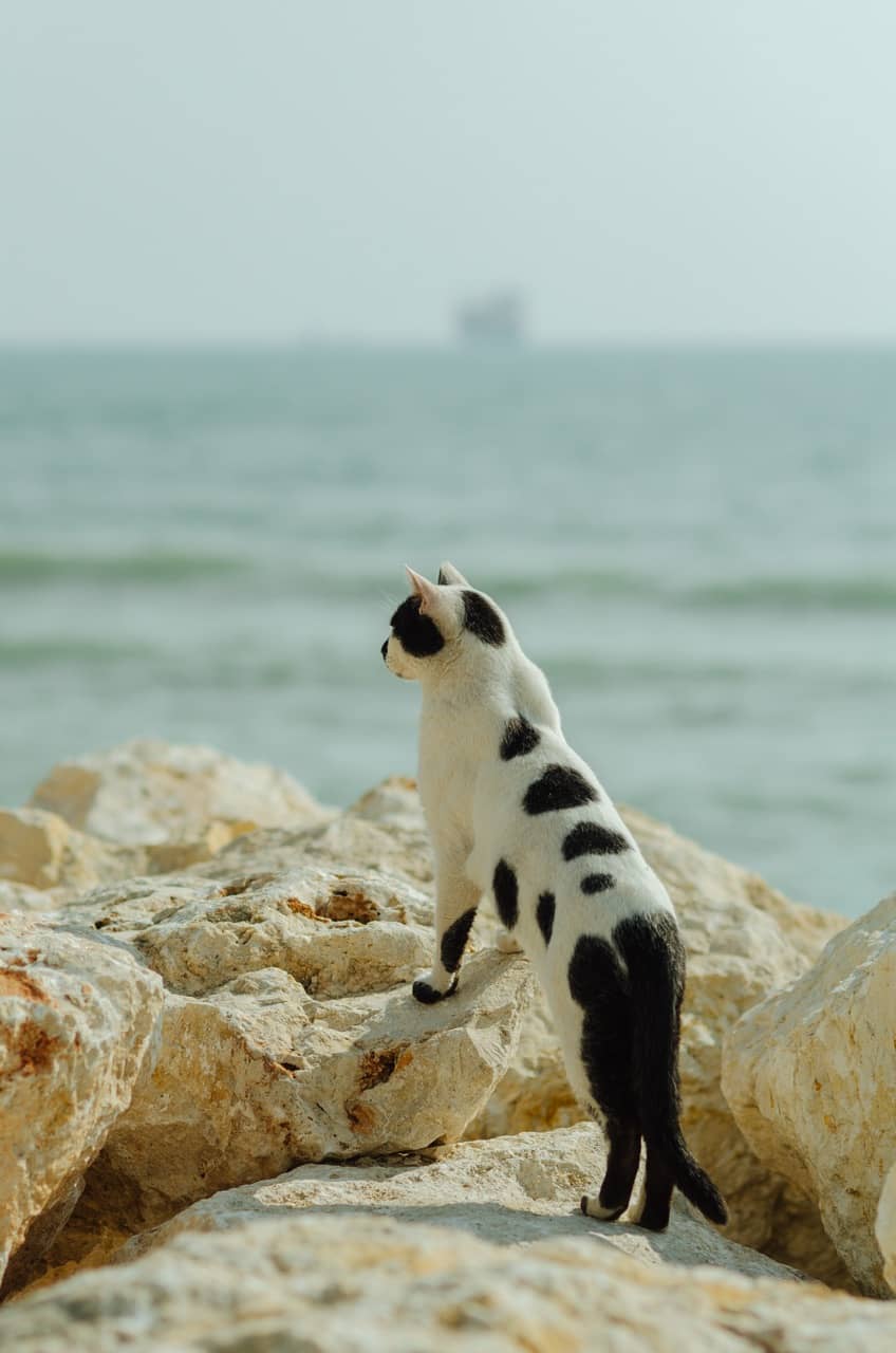 Фото 3 из альбома Erdemli 2023