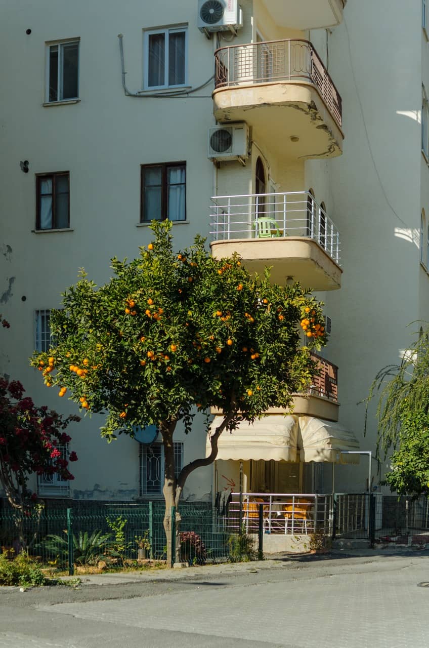 Фото 7 из альбома Erdemli 2023