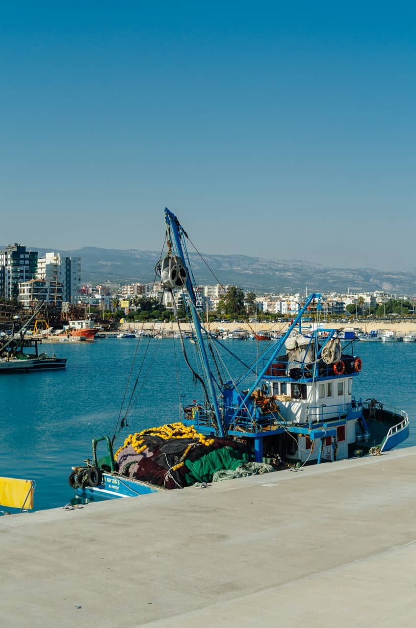 Фото 12 из альбома Erdemli 2023