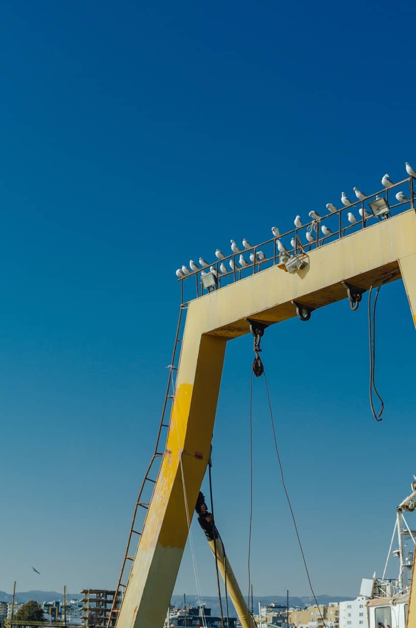 Фото 18 из альбома Erdemli 2023