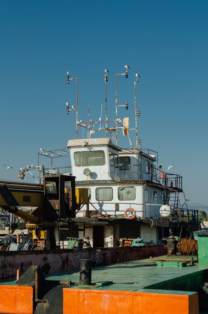 Фото 19 из альбома Erdemli 2023