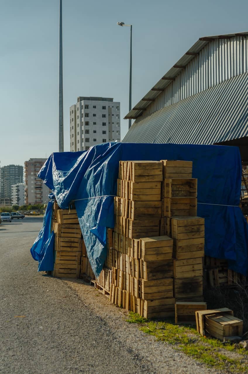 Фото 22 из альбома Erdemli 2023