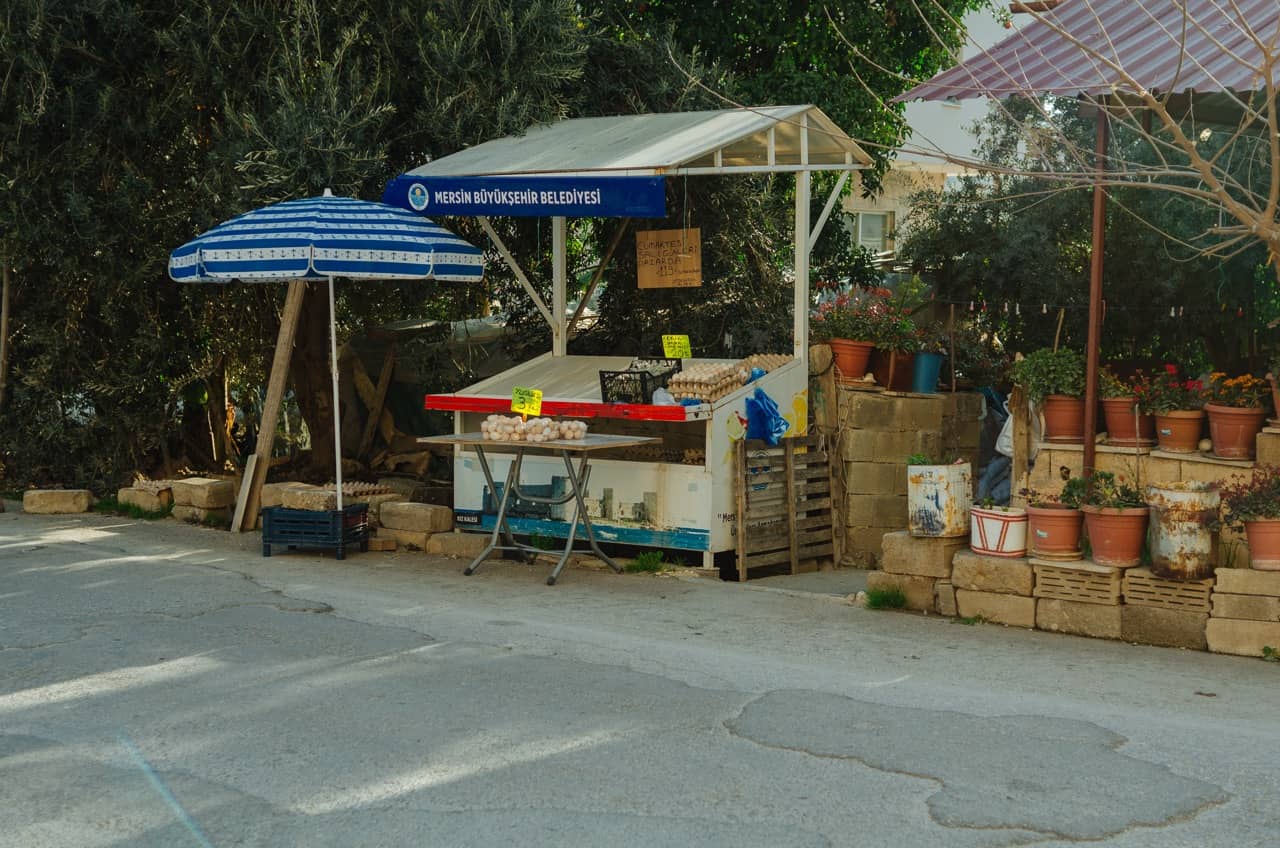 Фото 29 из альбома Erdemli 2023