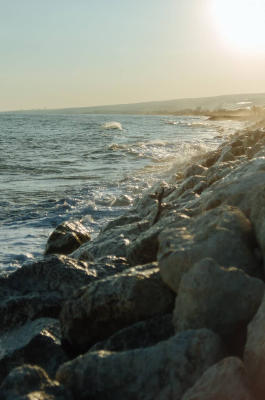 Фото 34 из альбома Erdemli 2023