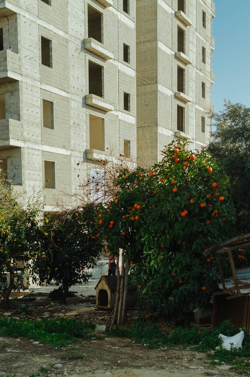 Фото 37 из альбома Erdemli 2023