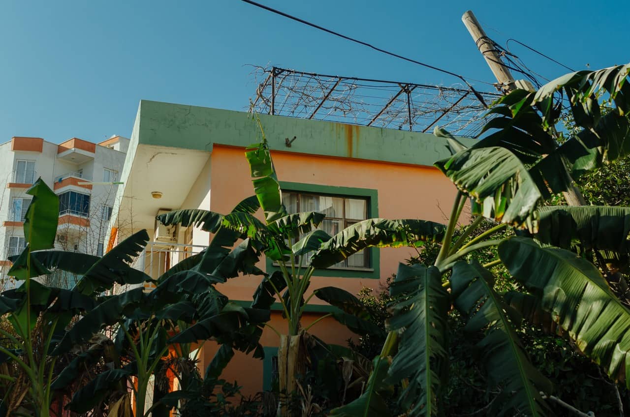 Фото 38 из альбома Erdemli 2023