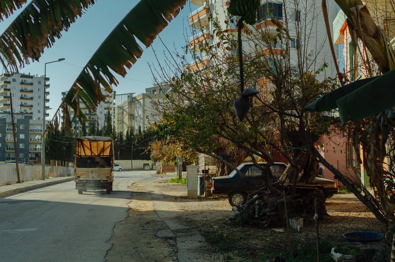 Фото 39 из альбома Erdemli 2023