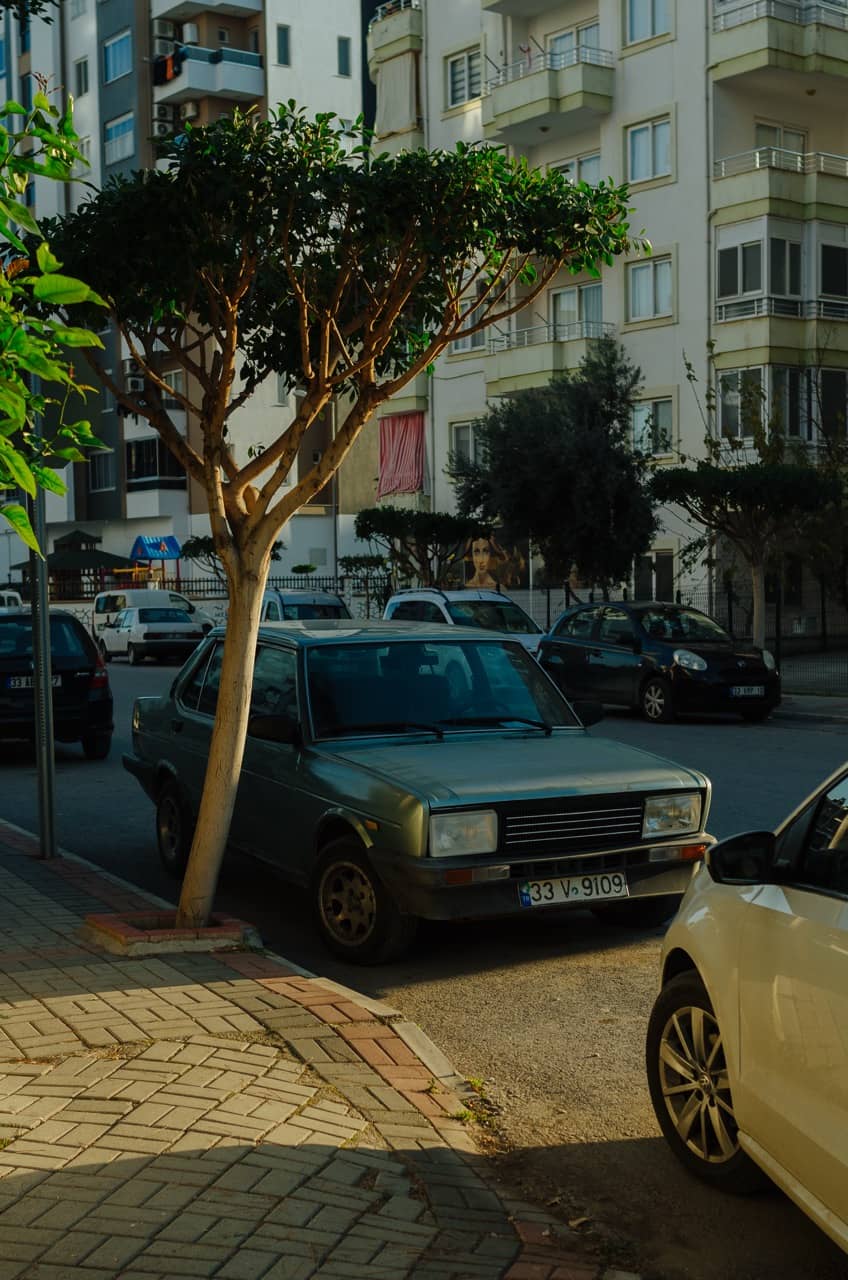 Фото 56 из альбома Erdemli 2023