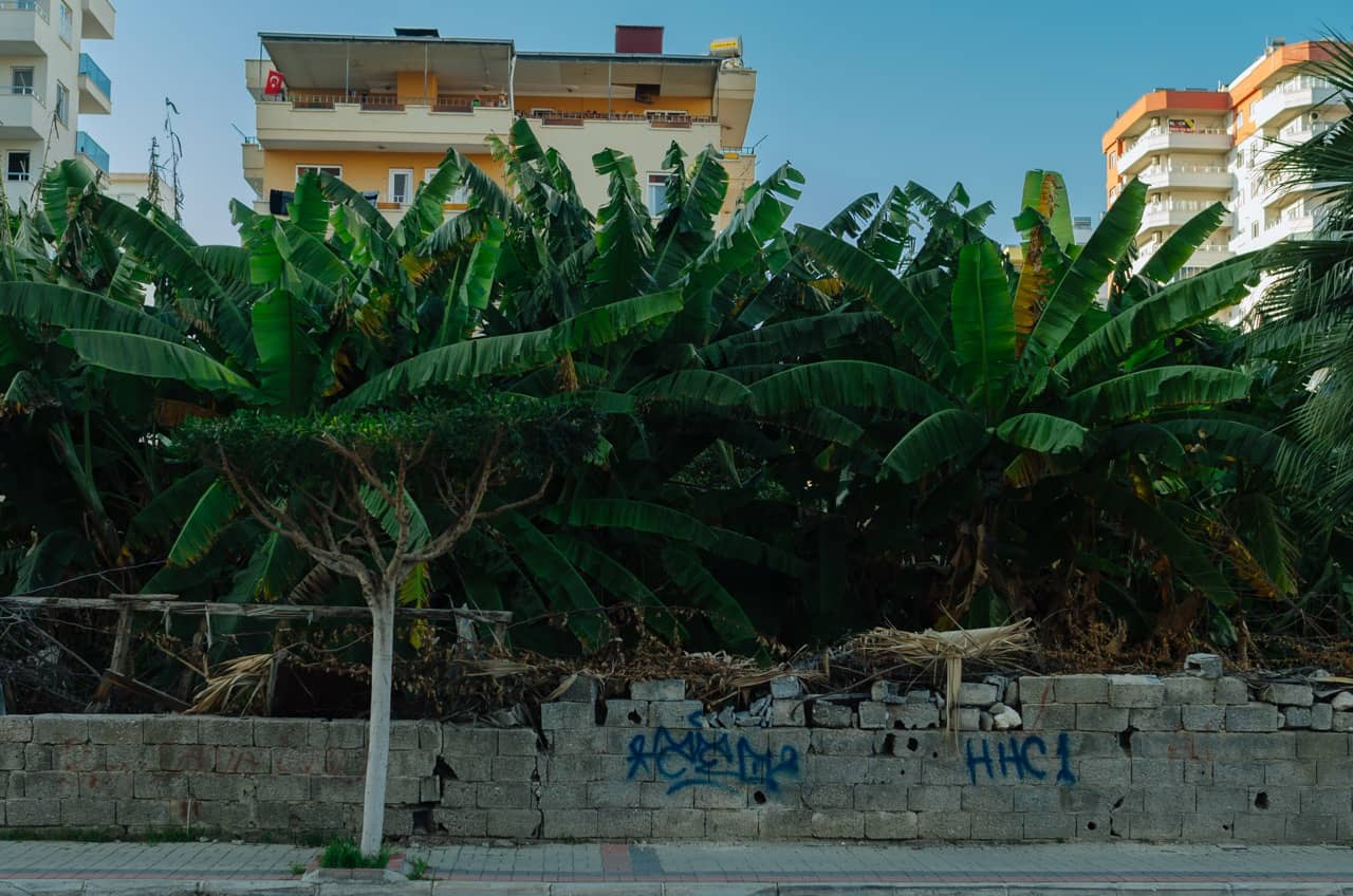 Фото 57 из альбома Erdemli 2023