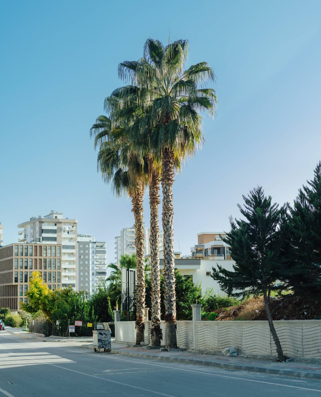 Фото 60 из альбома Erdemli 2023