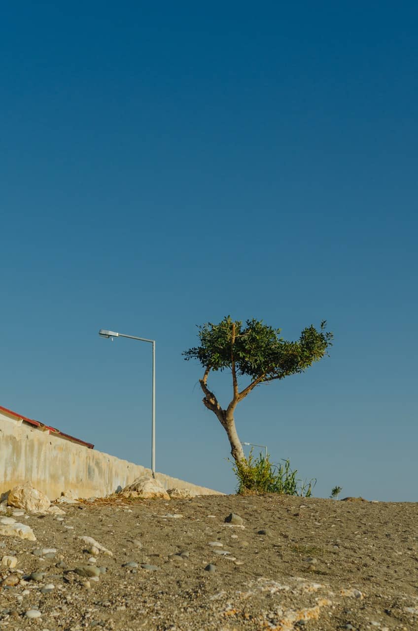 Фото 62 из альбома Erdemli 2023