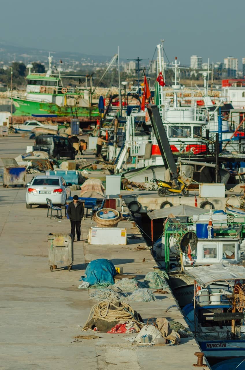 Фото 63 из альбома Erdemli 2023