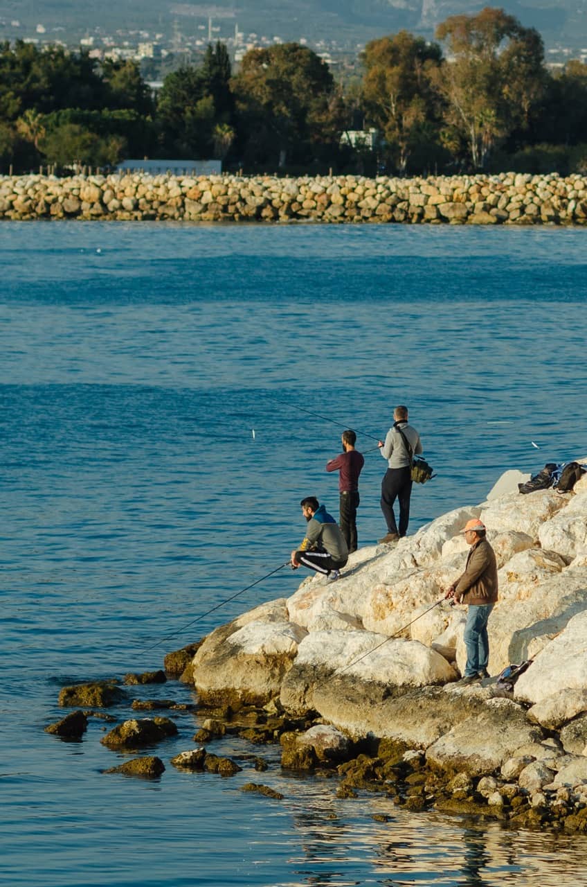 Фото 67 из альбома Erdemli 2023