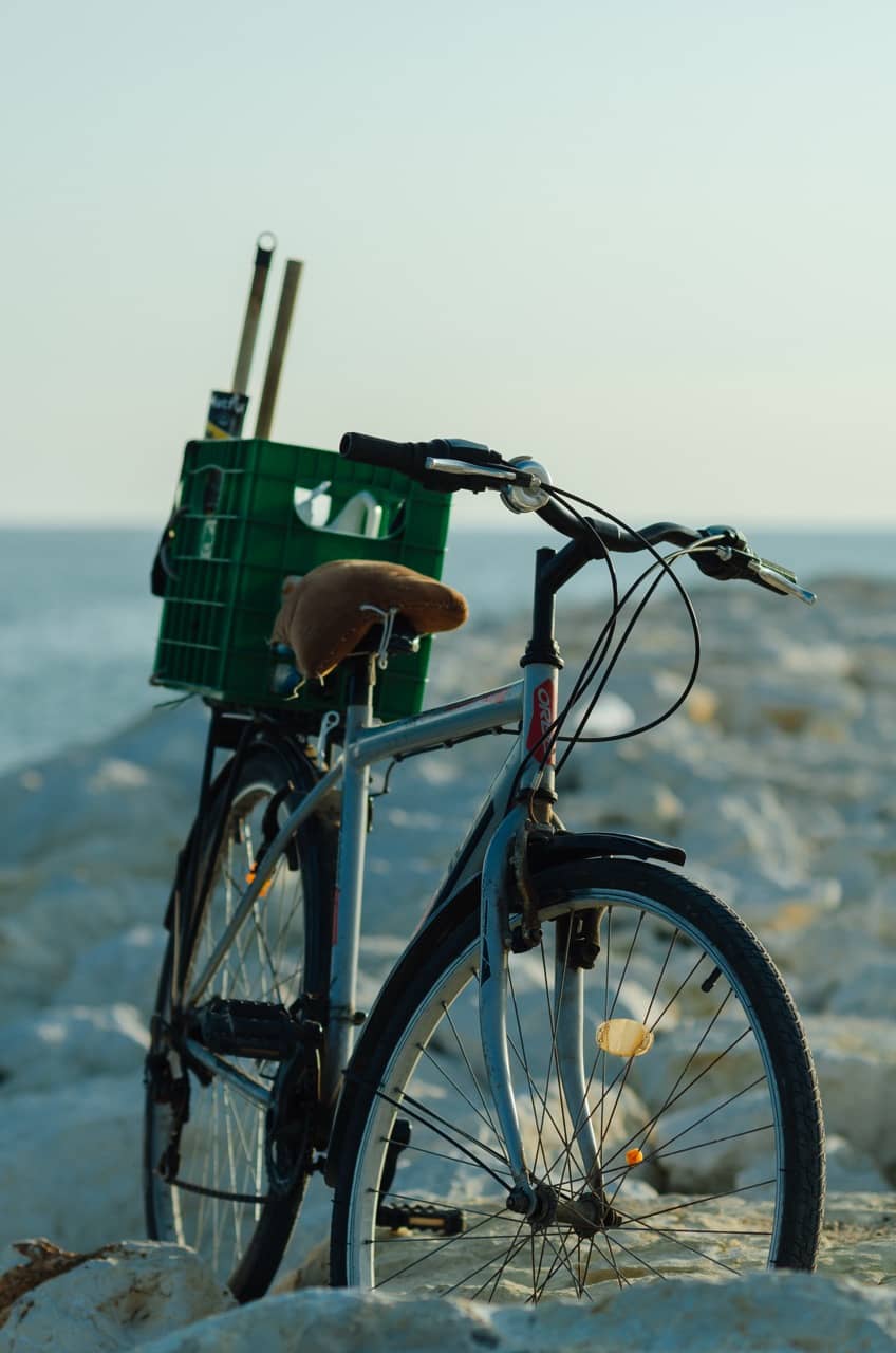 Фото 69 из альбома Erdemli 2023