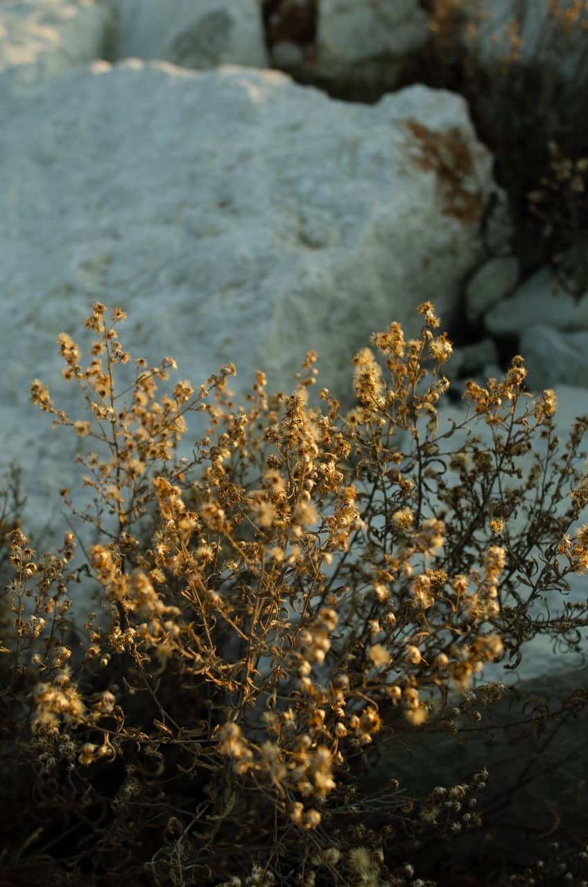 Фото 72 из альбома Erdemli 2023