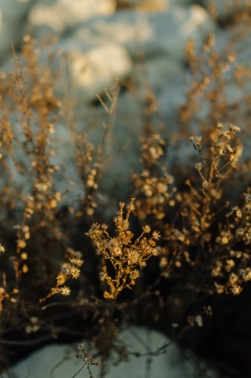 Фото 73 из альбома Erdemli 2023