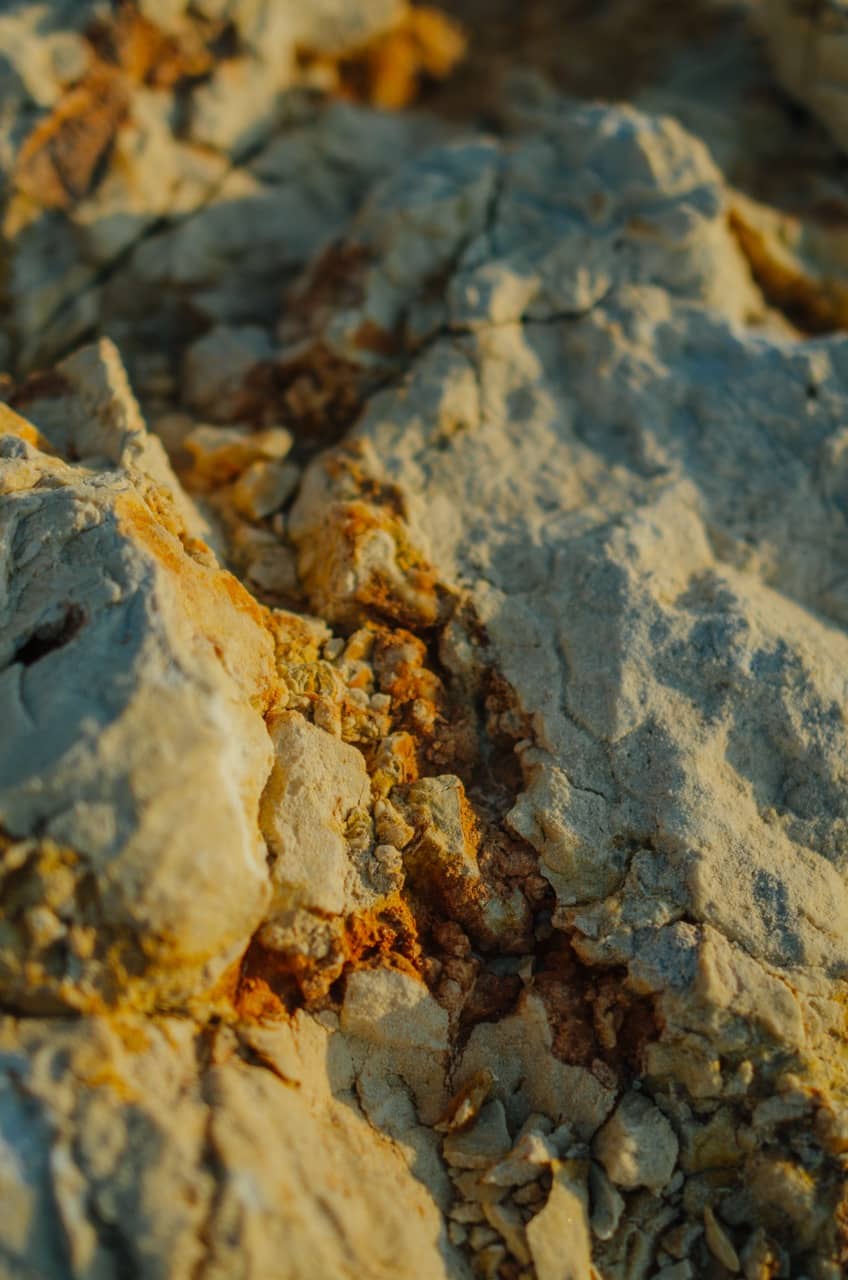 Фото 74 из альбома Erdemli 2023