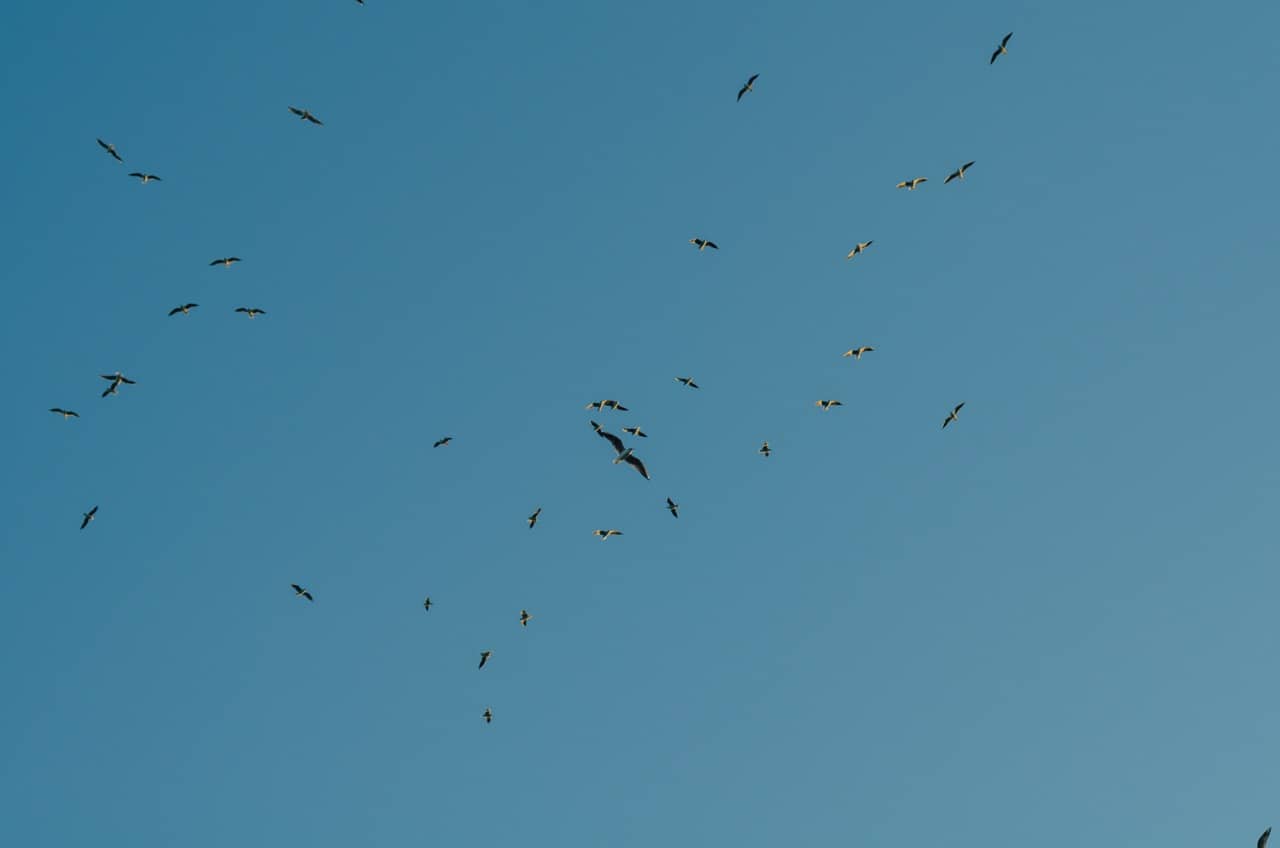 Фото 78 из альбома Erdemli 2023