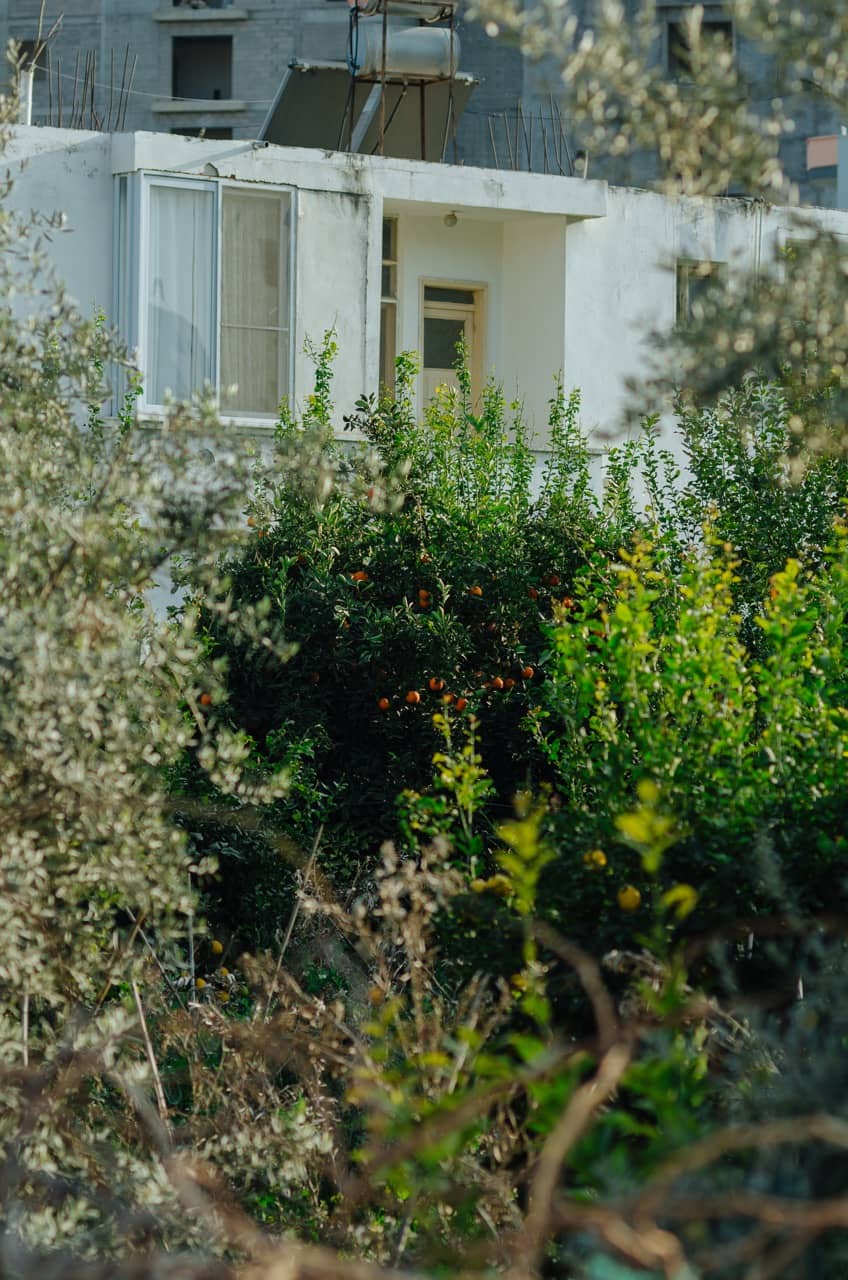 Фото 79 из альбома Erdemli 2023