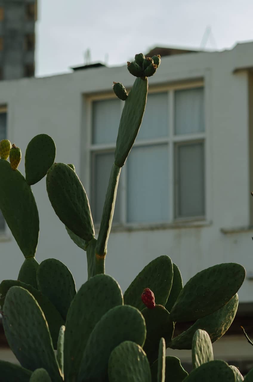 Фото 80 из альбома Erdemli 2023